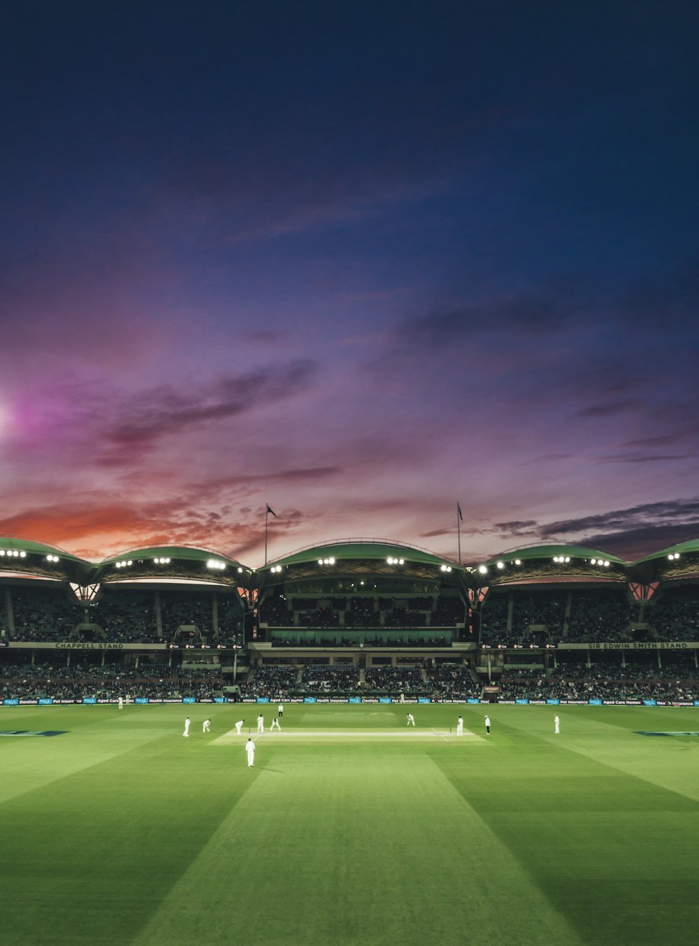 Cricket players on the field at sunset